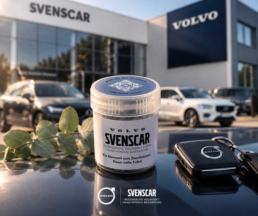 Autohäuser · Svenscar